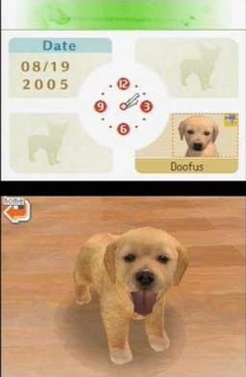 Immagine -5 del gioco Nintendogs: Dachshund and Friends per Nintendo DS